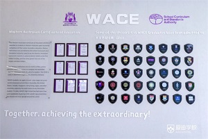 WACE߿ | w͇HLºףԸ۵όWWACE߿Дث@ѿ